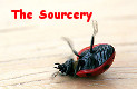 http://jlsysinc.gotdns.com/ladybug_laugh2.jpg